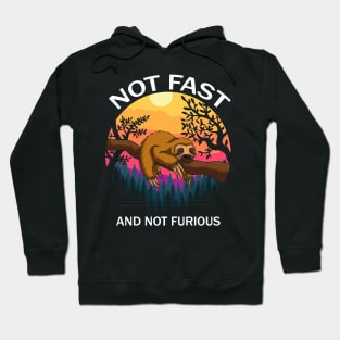 Not Fast Not Furious Hoodie